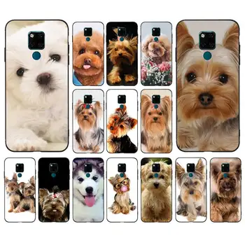 Yinuoda Yorkshire terrier köpek Yeni Moda telefon kılıfı için huawei mate 10 20 lite pro X Onur oynamak Y6 5 7 9 başbakan 2018 2019