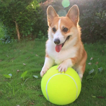 24 CM Dev Pet Tenis Topu Köpekler Çiğnemek Oyuncak Şişme Tenis Topu Pet Oyuncak Top Atıcı Chucker Launcher Pet Köpek Oyun Bite Oyuncak