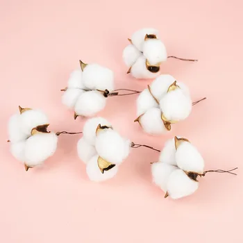 10 Kafaları Beyaz Pamuk çiçek başları Doğal Kurutulmuş Dekoratif Çiçekler DIY Çelenk yapay çiçek Ev Düğün Süslemeleri için
