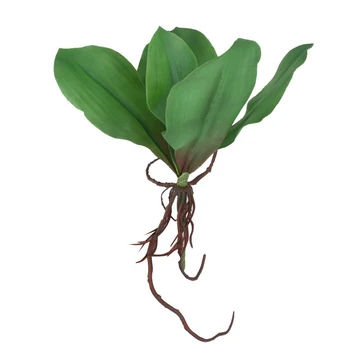 Yapay Phalaenopsis Orkide Yaprakları 5 Dalları Benzersiz Phalaenopsis Yeşil Yapraklar Orkide Köpük Yaprakları Bitki Ev Bahçe için
